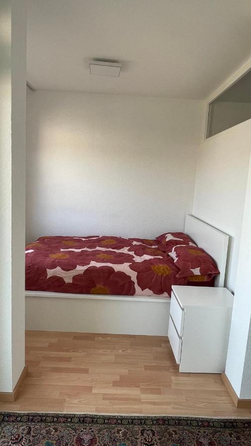 1,5 Zimmerwohnung In Heidelberg Esterno foto